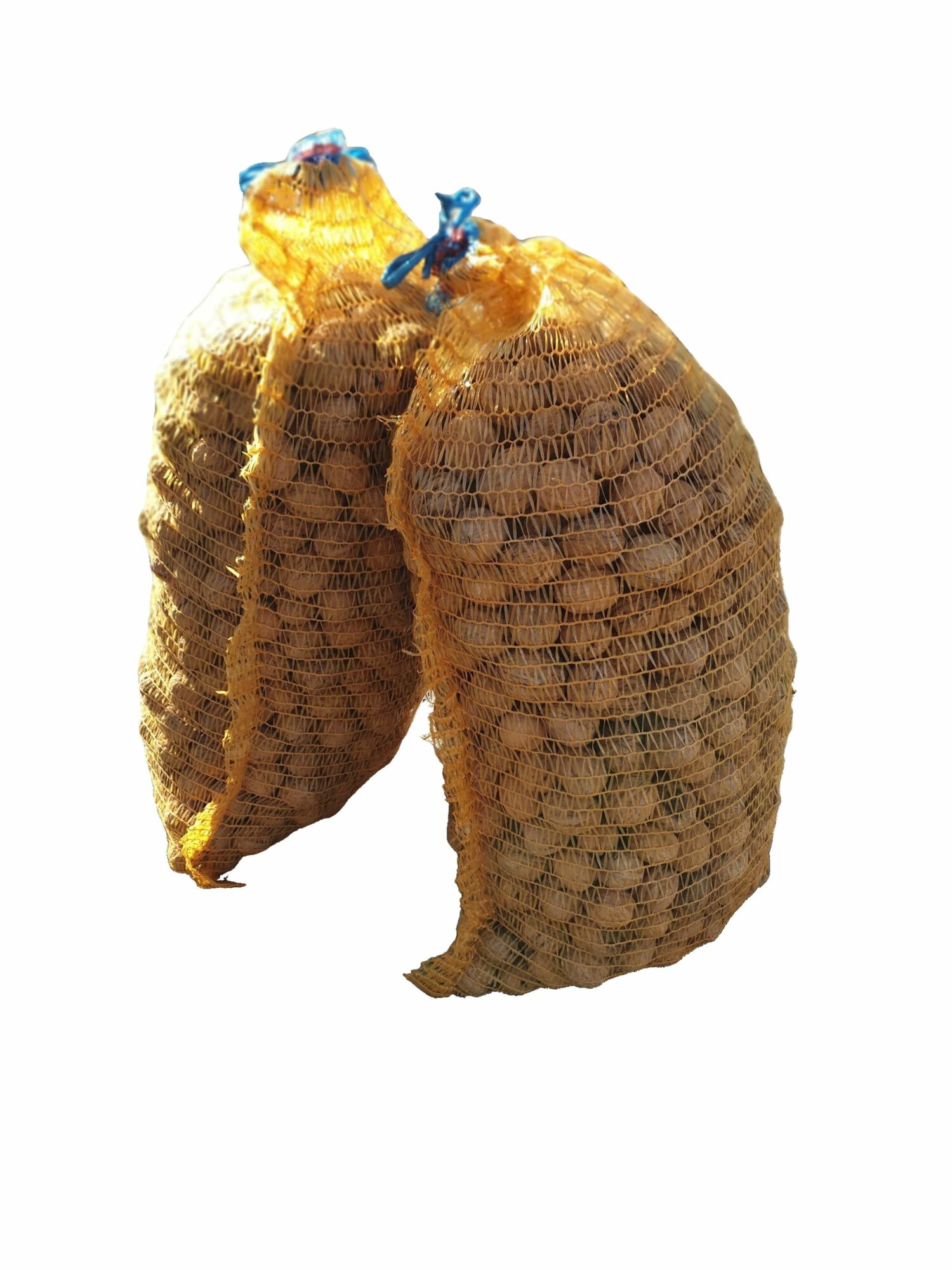 Walnusssäcke